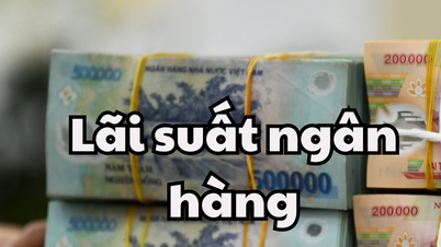 Lãi suất ngân hàng hôm nay 11/6/2025: HDBANK và VIKKI BANK đứng top lãi suất cao nhất