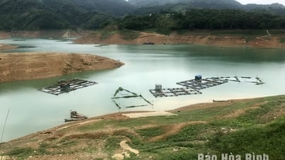 Уровень воды в озере Хоабинь упал до рекордно низкого уровня, фермеры, выращивающие рыбу в садках, оказались в затруднительном положении