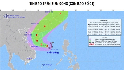 Áp thấp nhiệt đới đã mạnh lên thành bão - bão...