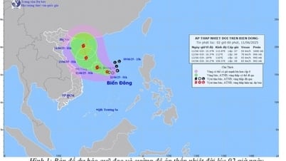 熱帯低気圧は暴風雨に発展する見込み、ハイフォン海域は強風レベル5