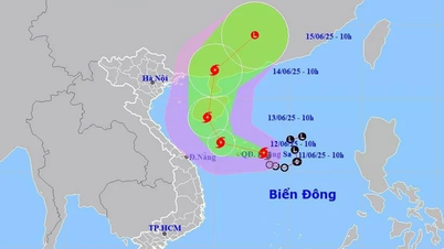Storm No. 1 moves in the West Northwest direction, likely to strengthen.