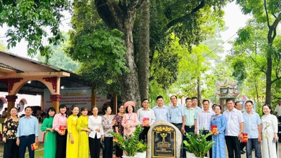 TP.Thủ Dầu Một đón nhận 3 kỷ lục về cây xanh
