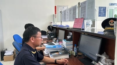 Số doanh nghiệp tăng gần 12%, luồng xanh chiếm tỷ lệ cao