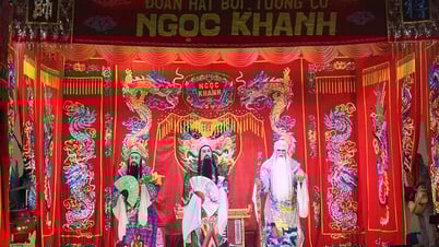 หลังเวทีฮะตบอย