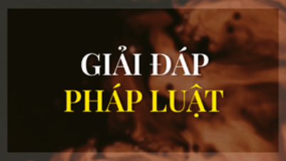 Quy định pháp luật về hành vi buôn bán hàng giả (giá trị sử dụng, công dụng)