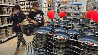 一連の中国企業がベトナムに家庭用品を持ち込み「販売」