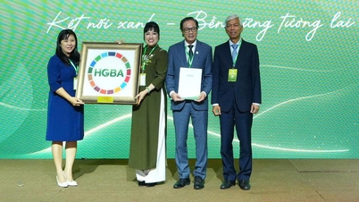 ホーチミン市にグリーンビジネス協会が正式に設立