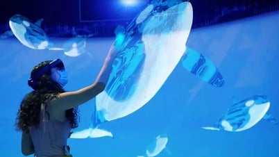 Kể chuyện bằng công nghệ để cứu loài cá voi quý hiếm