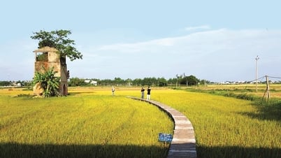 グリーンツーリズム：情熱が未来を創る