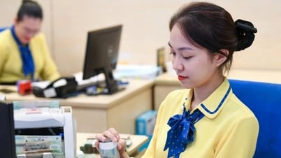Mở rộng cơ hội vay vốn phục vụ sản xuất, kinh doanh qua kênh ngân hàng