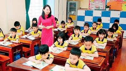 Nghiên cứu thực hiện phương án tuyển sinh đầu cấp từ năm học 2025 - 2026 không giới hạn theo địa giới hành chính cấp xã
