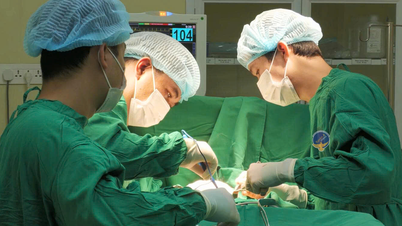 TP.HCM: Người phụ nữ bỏ tiền triệu mua ong về tự trị ung thư