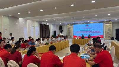 Hội Chữ thập đỏ cụm thi đua Bắc Trung Bộ đẩy mạnh các hoạt động an sinh xã hội