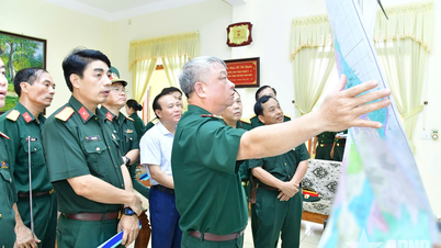 Ministry of Defense inspects the arrangement of local military agencies in Nghe An