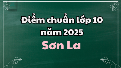 Результаты тестов за 10 класс в 2025 году в Сон Ла