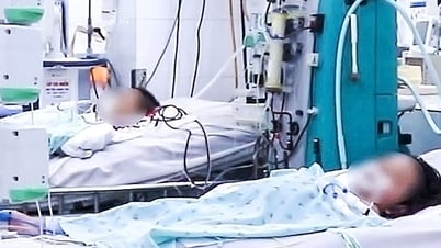 Miền Nam bước vào mùa mưa, sốt xuất huyết tăng mạnh, có bé men gan tăng gấp 100 lần