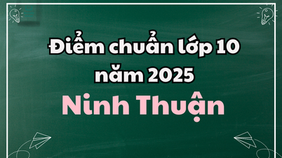 Điểm chuẩn lớp 10 năm 2025 tại Ninh Thuận