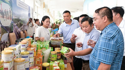 Lao Cai៖ ថវិកាជាង ១១.០០០ពាន់លានដុង ដើម្បីអនុវត្តកម្មវិធីគោលដៅជាតិ ដំណាក់កាល ២០២១-២០២៥