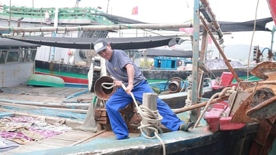 Ngư dân Nghệ An khẩn trương về bến tránh trú bão số 1