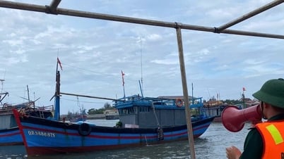 Kêu gọi tàu thuyền trong vùng nguy hiểm tìm nơi tránh trú an toàn