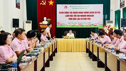 Dư nợ tín dụng chính sách hai tỉnh Đắk Lắk và Phú Yên đạt hơn 13.600 tỷ đồng