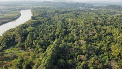 Nhiều quy định mới về giảm nhẹ phát thải khí nhà kính và bảo vệ tầng ozone