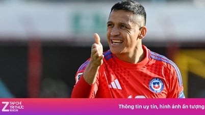 Sanchez xin CĐV tha thứ