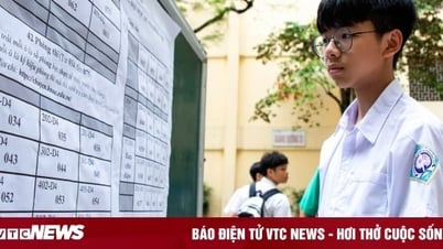 Đáp án môn Văn thi vào lớp 10 Hà Nội 2025