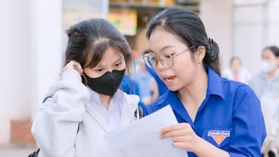 Điểm thi và điểm chuẩn vào lớp 10 tại Đồng Nai năm 2025
