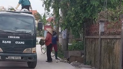 Los recolectores de basura en Kim Thanh tienen el salario más alto de 9 millones de VND.