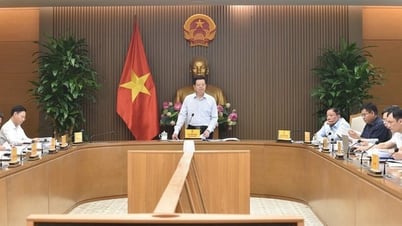 Kết luận của Phó Thủ tướng Mai Văn Chính tại cuộc họp nghe báo cáo về Đề án “Quốc tế hoá văn hoá Việt Nam và Việt Nam hoá văn hoá quốc tế”