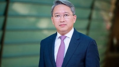 'Không đề xuất điều chỉnh tăng mức tiền phạt vi phạm hành chính tối đa đối với bất kỳ lĩnh vực quản lý nhà nước nào'