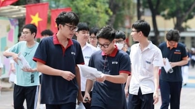 ハノイの10年生入学試験の成績はどこで確認できますか?