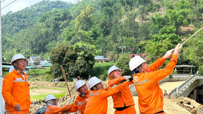Công ty Điện lực Bắc Kạn quyết tâm kiến tạo giai đoạn phát triển mới