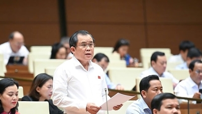 Tăng xử phạt vi phạm hành chính cần chú ý đến thu nhập trung bình của người dân