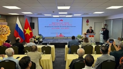 Las relaciones entre Vietnam y Rusia continúan desarrollándose sustancialmente sobre la base de la confianza y la amistad.
