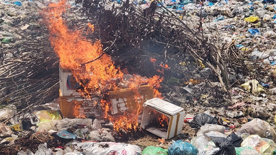 Step up the fight against counterfeit and poor quality goods
