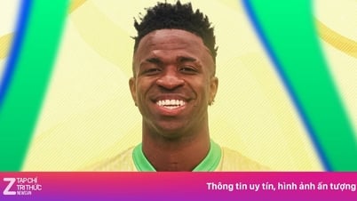 Brazil giành vé dự World Cup 2026