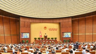 Quốc hội xem xét về việc sắp xếp đơn vị hành chính cấp tỉnh...