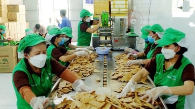 Quang Nam supports nearly 16 billion VND to implement the OCOP Program in 2025