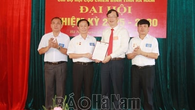 2025-2030년 임기 지방 재향군인회 당 조직도