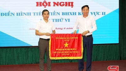 សន្និសីទលើកទី 6 នៃគំរូធានារ៉ាប់រងសង្គមកម្រិតខ្ពស់នៅក្នុងតំបន់ II