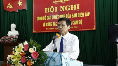 El Consejo Editorial del periódico Binh Dinh anuncia decisiones sobre la organización y el trabajo del personal.