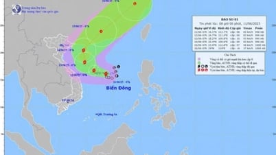 Quảng Ninh chủ động triển khai các biện pháp ứng phó với bão số 1 (WUTIP)