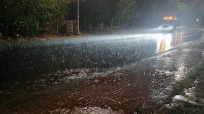 Focus on responding to the risk of heavy rain, landslides, flash floods