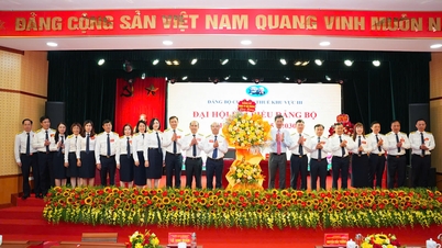 คณะกรรมการพรรคของกรมสรรพากรภาคที่ 3 ปรับปรุงศักยภาพผู้นำ ส่งเสริมการเปลี่ยนแปลงทางดิจิทัลและการปฏิรูปการบริหาร