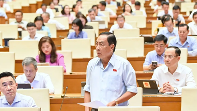 Không làm gián đoạn việc xử phạt khi vận hành chính quyền địa phương 2 cấp