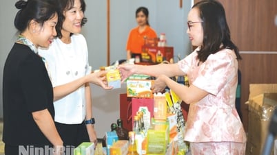 OCOP-động lực thúc đẩy phát triển kinh tế nông thôn