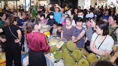 Ngày hội kết nối tiêu thụ sầu riêng Cần Thơ tại thị trường Hải Phòng