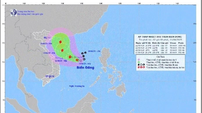 Thời tiết hôm nay (11/6): Áp thấp nhiệt đới di chuyển chậm trên Biển Đông